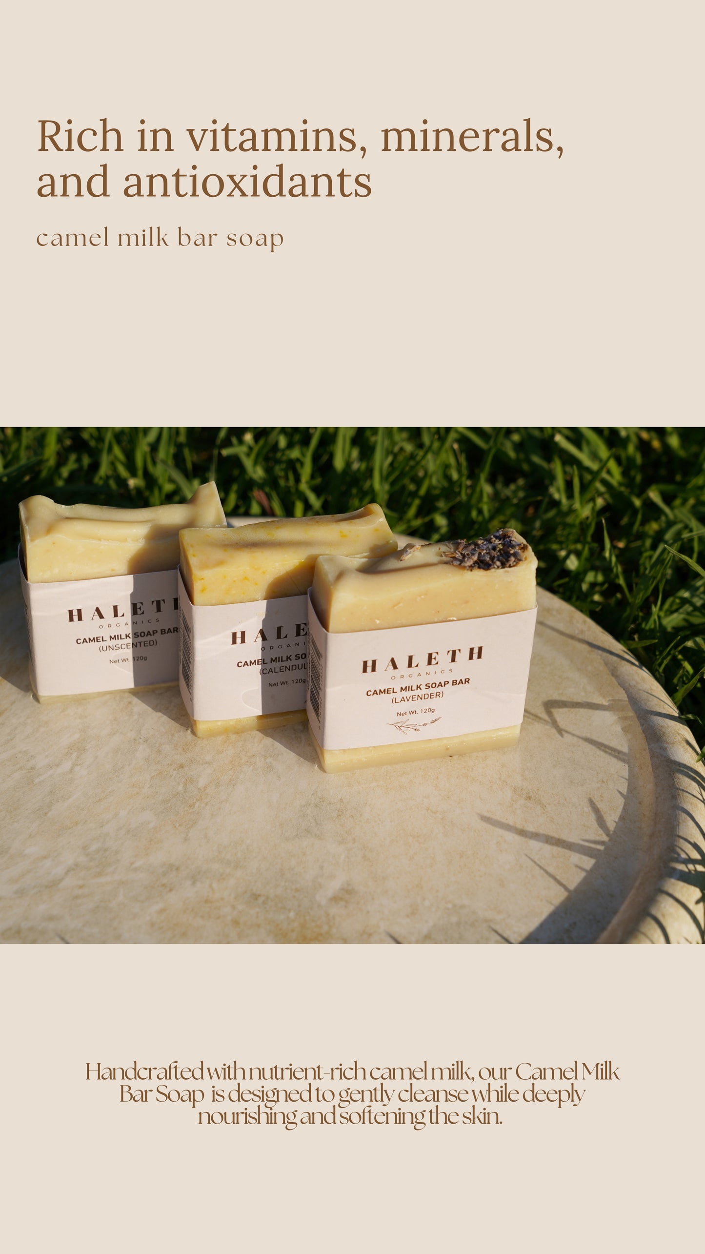 Camel Milk Discovery Trio Pack