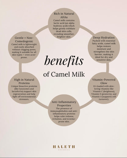 Camel Milk Moisturiser Balm - 50g